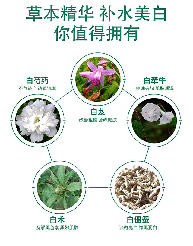 八白源荟系列